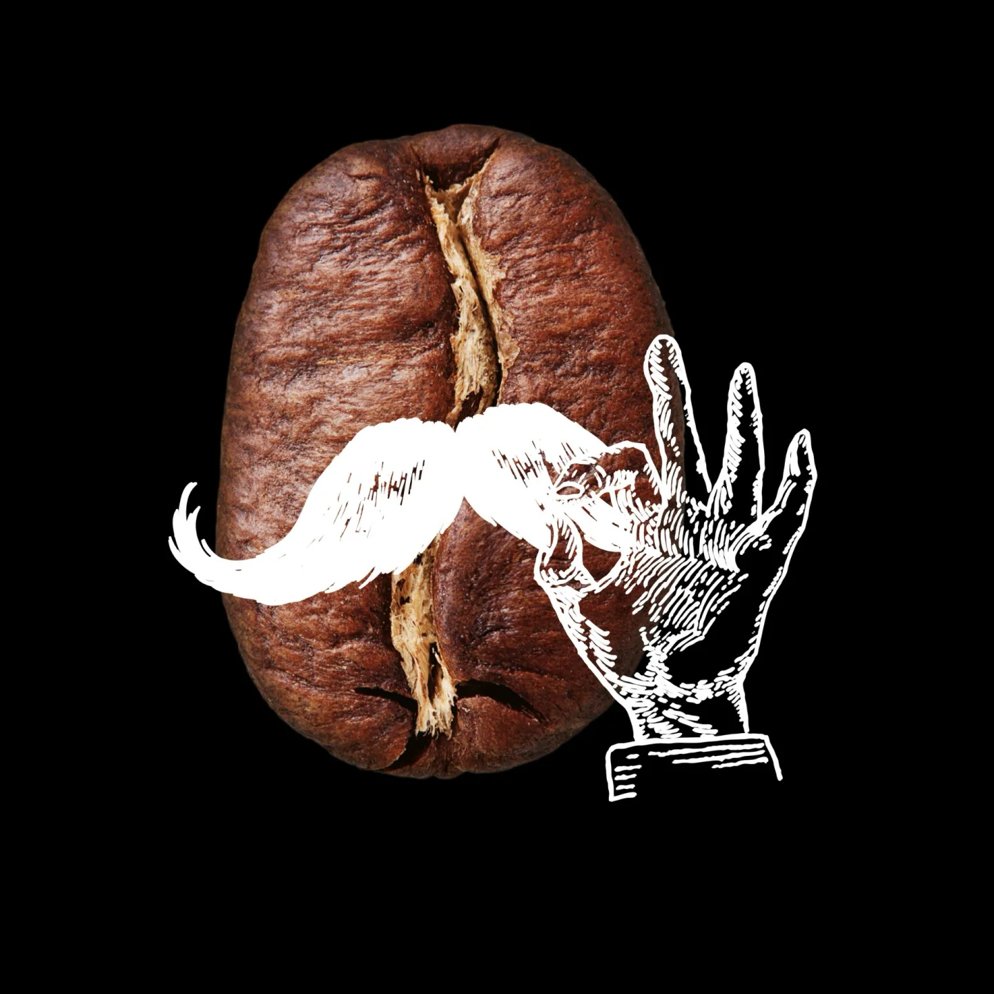 Barista Workshop - Perfekter Espresso Barista Workshop - Perfekter Espresso